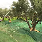 מלון דירות Eleni 2*
