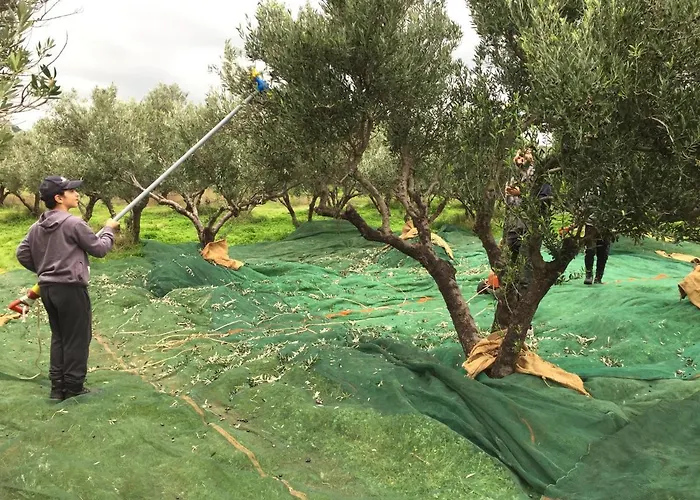 מלון דירות Eleni 2*