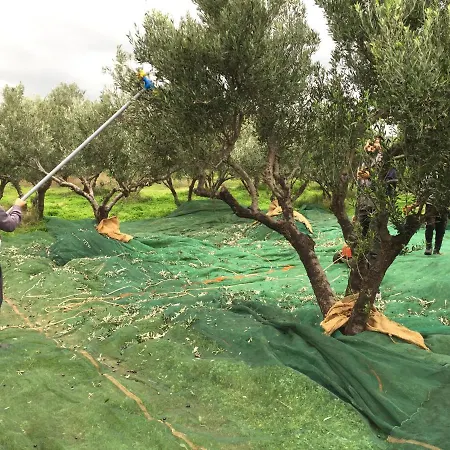 Hotel de apartamente Eleni 2*