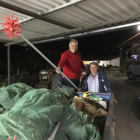 Eleni 2* Hersonissos (Crete)